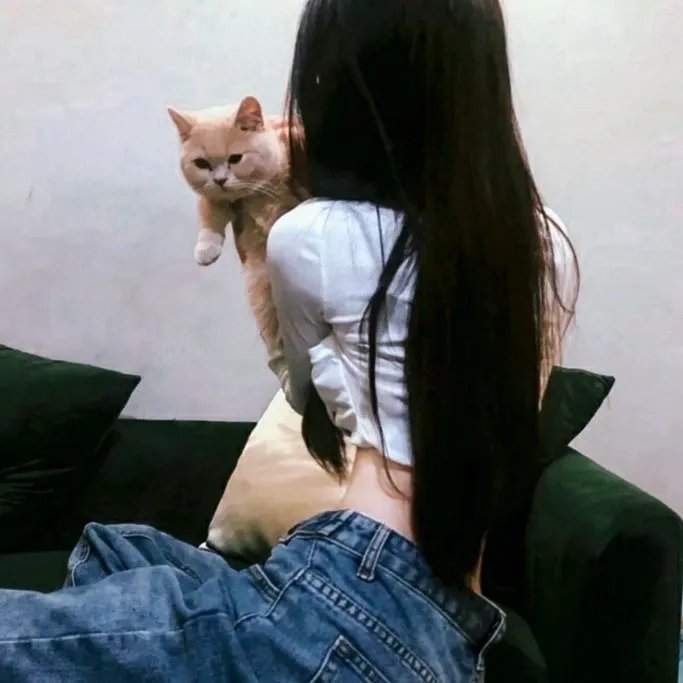 卡通婚礼